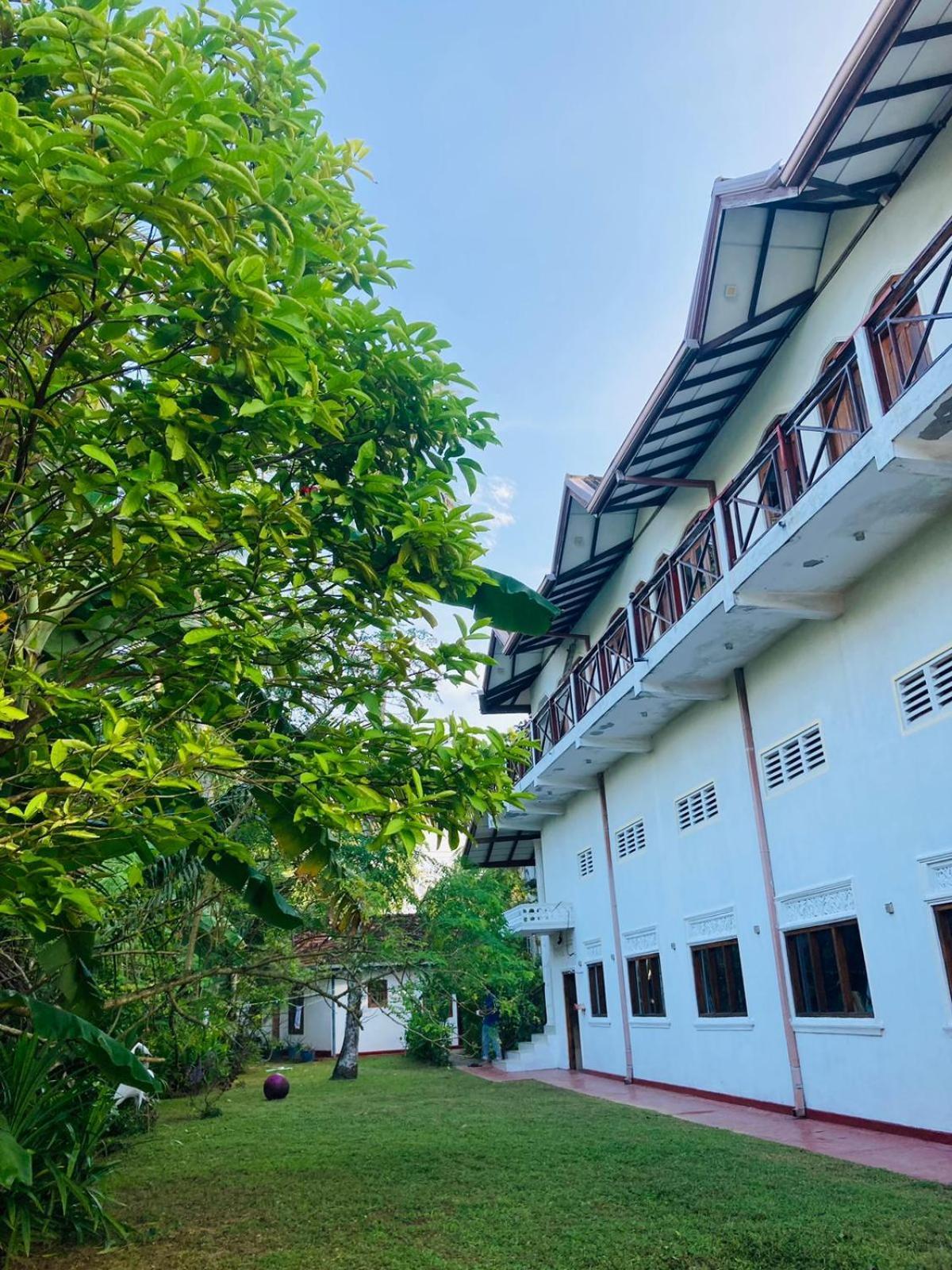 Skywalker Guest House Weligama Exteriör bild